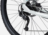 Overvolt HT 5.4 eBike