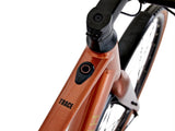 Trace Electric Bike