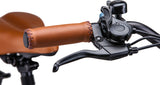 S1 Electric Bike